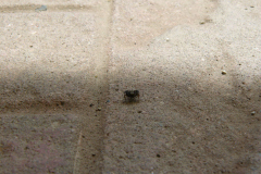 2019_05_macro01