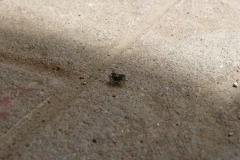 2019_05_macro02