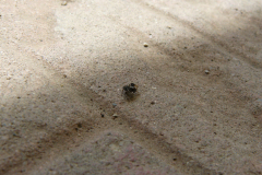 2019_05_macro03