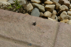 2019_05_macro04