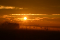 2021_12_Zapad_slunce_s_mlhou21