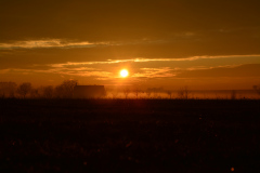 2021_12_Zapad_slunce_s_mlhou27