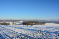 2021_12_zimni_krajina_a_zvirata110